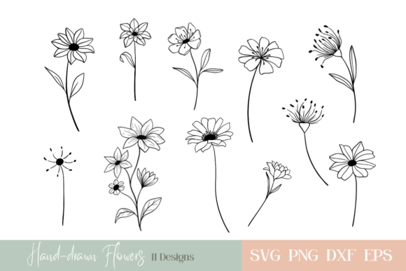 Download Hand-drawn Flowers Bundle - Flowers Collection