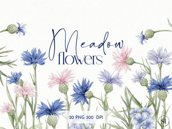 Download Meadow Flowers Water Color - Flowers Collection