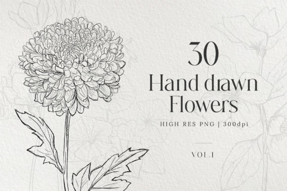 Download Hand Drawn Flowers Bundle - Flowers Collection
