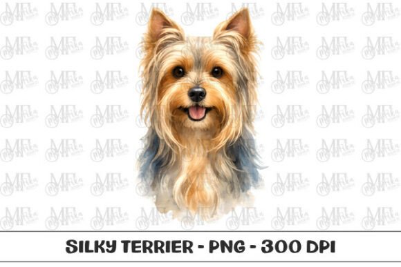 Download Silky Terrier Watercolor Portrait PNG - Silky Collection