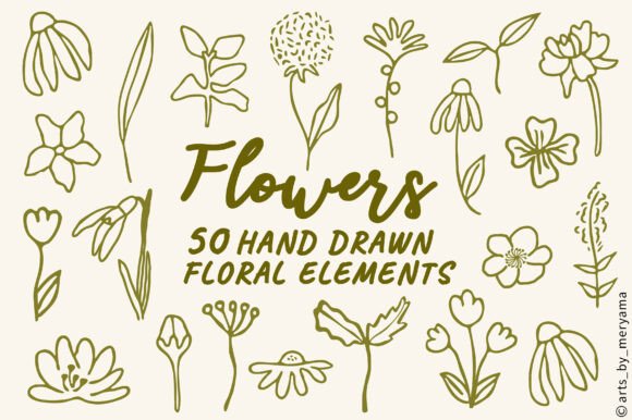 Download 50 Hand Drawn Flowers, Botanical Element - Flowers Collection