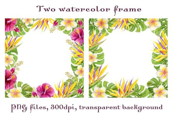 Download Tropical Frames Flowers Palm Leaves PNG - Flowers Collection