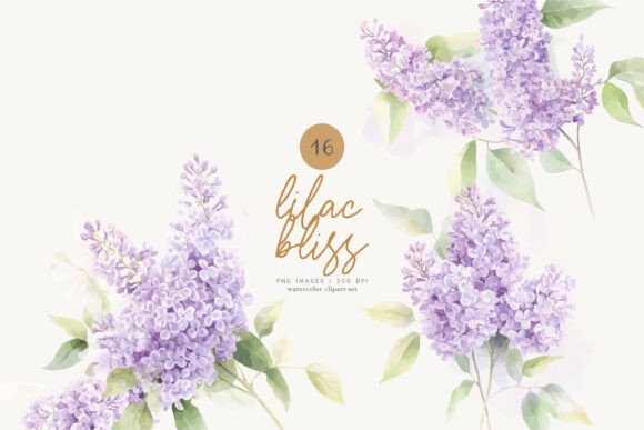 Download Lilac Florals Watercolor Flowers Png - Flowers Collection