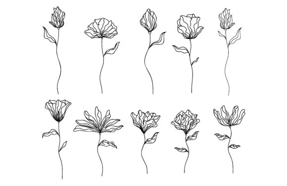 Download Collection of Hand Drawn Flowers - Flowers Collection
