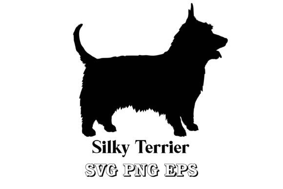 Download Silky Terrier Silhouette Dog Breed - Silky Collection