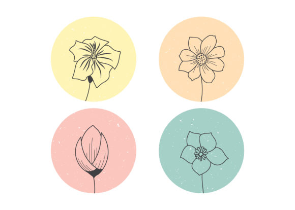 Download Hand Drawn Flowers Illustration - Flowers Collection