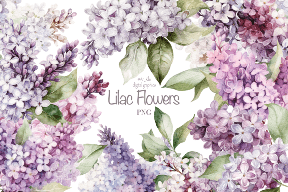 Download Gorgeous Lilac Flowers - Flowers Collection