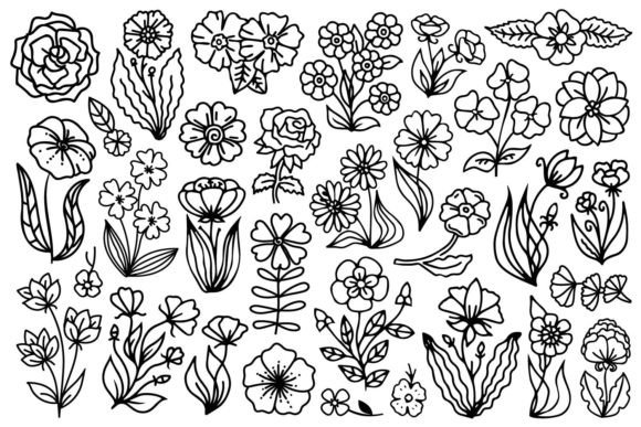 Download Hand Drawn Flowers - Flowers Collection