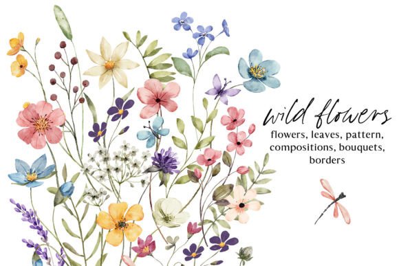 Download Wild Flowers, Butterflies and Dragonfly. - Flowers Collection