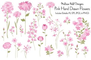 Download Pink Hand Drawn Flowers - Flowers Collection