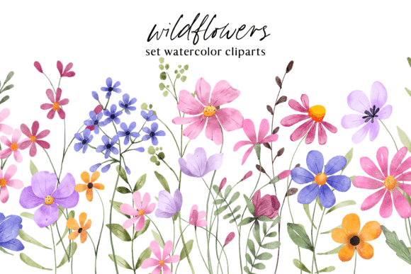 Download Floral Watercolor Set, Flowers, Leaves. - Flowers Collection