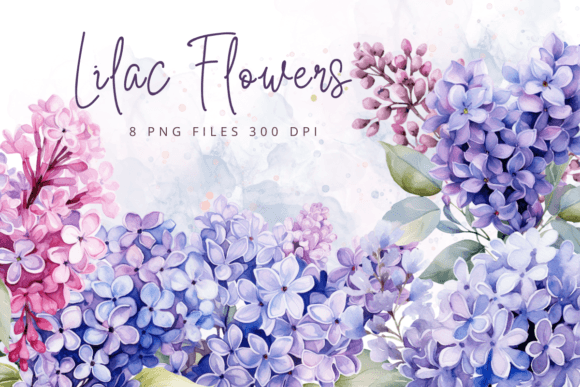 Download Watercolor Lilac Flowers Purple Floral - Flowers Collection